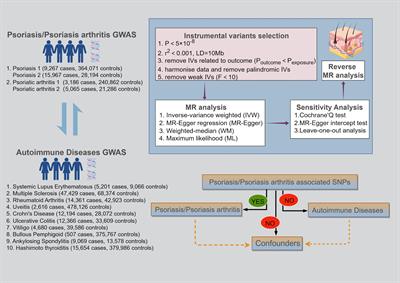 Causal associations between both psoriasis and psoriatic arthritis and multiple autoimmune diseases: a bidirectional two-sample Mendelian randomization study
